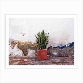 Queretaro Outdoor Plant Art Print