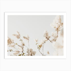 Hydrangea Flowers Art Print