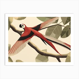 Red Macaw Art Print