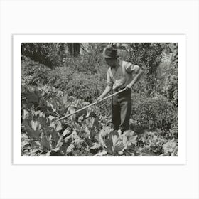 Spanish American Farmer Working In His Garden, Chamisal, New Mexico By Russell Lee Art Print