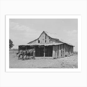 Barn Belonging To Tenant Farmer Near Muskogee, Oklahoma, See General Caption No, 20 By Russell Lee Art Print