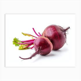 Beets 2 Art Print