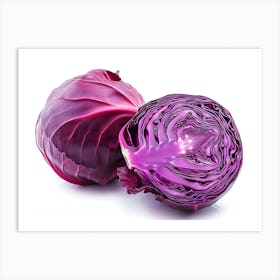 Red Cabbage (8) Art Print