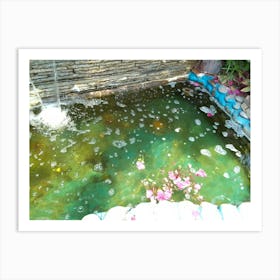 Pond By Binod Dawadi Art Print