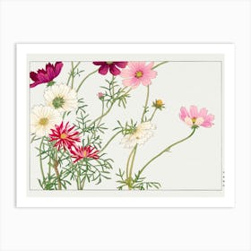 Cosmos Art Print