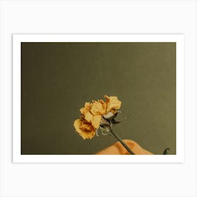 Single Yellow Flower Art Print
