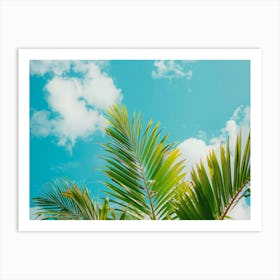 Palm Tree Against Blue Sky 3 Art Print