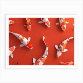 Koi Fish 8 Art Print