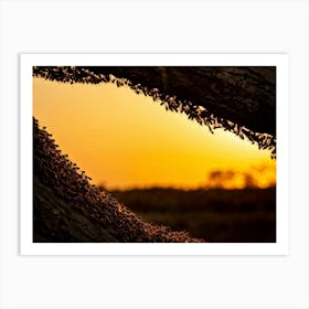 Ant Colony Cooperating Harmoniously Silhouetted Against A Radiant Sunset Amber And Crimson Hues Me (1) 2 Art Print