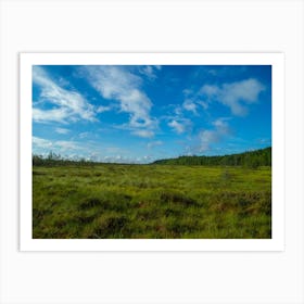 Grassland With Blue Sky Art Print