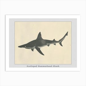 Scalloped Hammerhead Shark Grey Silhouette 2 Poster Art Print