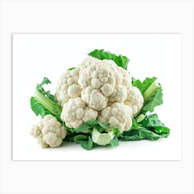 Cauliflower 11 Art Print