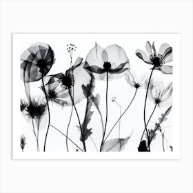 Silhouette Black And White Flowers Art Print