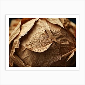 Crinkled Paper Featuring An Array Of Textured Patterns And Pronounced Creases Macro Photography Hi Art Print