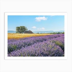 French Countryside Art Print