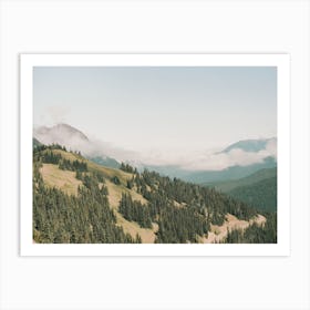 Mountain Forest View Art Print