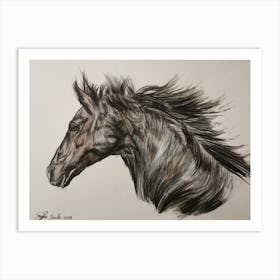 Black Horse Art Print