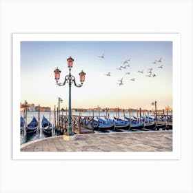 Venice Fly Art Print