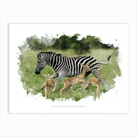 Savuti Marshes, Chobe National Park, Botswana Art Print