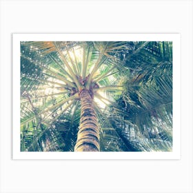 Palm Tree 1 Art Print