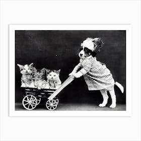 Funny Puppy And Kittens Art Print