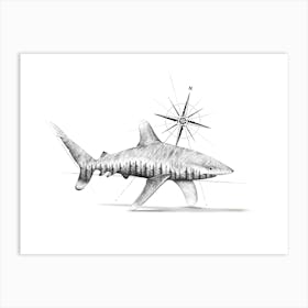 Wild Oceans - Nature Shark Art Print Art Print