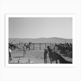 Cowboys Roping And Saddling Horses, Corral At Ranch Near Marfa, Texas By Russell Lee 1 Art Print