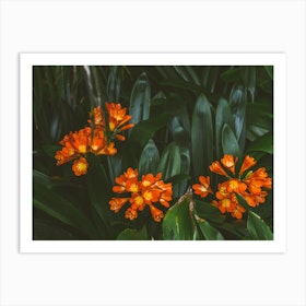 Orange Botanicals Art Print