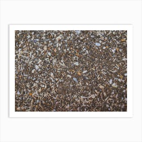 Tiny And Large Sea Shell And Rocks Texture Background 6 Art Print