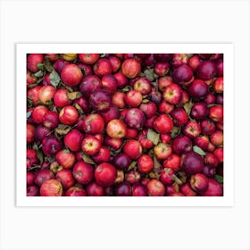 Pile Of Apples Art Print