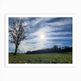 Field With Trees Art Print