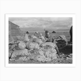 Sacks Of Potatoes, Klamath County, Oregon By Russell Lee Art Print