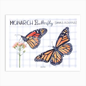 Monarch Art Print