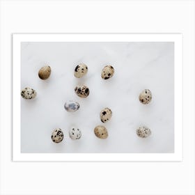 Quail Eggs 27 Art Print