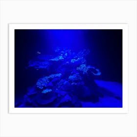 Blue Coral Reef Art Print