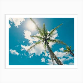 Palm Trees And Blue Sky Art Print