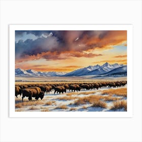 Bison Herd Grasslands Art Print