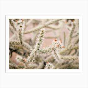 Skinny Cactus With Flowers Art Print