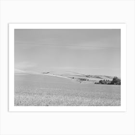 Farmstead And Wheat Land, Walla Walla County, Washington By Russell Lee Art Print