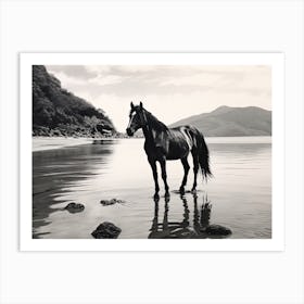 A Horse Oil Painting In Lopes Mendes Beach, Brazil, Landscape 3 Art Print