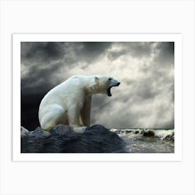 Polar Bear On Rock Art Print