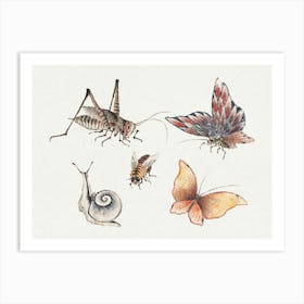 Katsushika Hokusai Insects And Snails Art Print