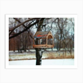 Bird Feeder 1 Art Print