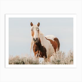 Sagebrush Horse Art Print
