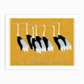 Cranes Art Print