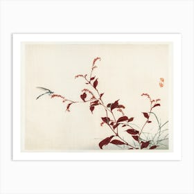 Dragonfly, Kōno Bairei Art Print