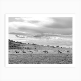 Herd Of Antelopes In The Wild Kenya  Art Print