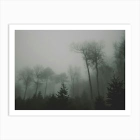 Foggy Forest 4 Art Print