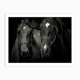 Black Horses Art Print