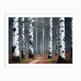 Birch Trees 71 Art Print